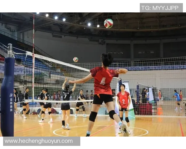 排球心理素质评比揭晓深圳排球队荣登第五名引关注 排球心理素质评比揭晓深圳排球队荣登第五名引关注