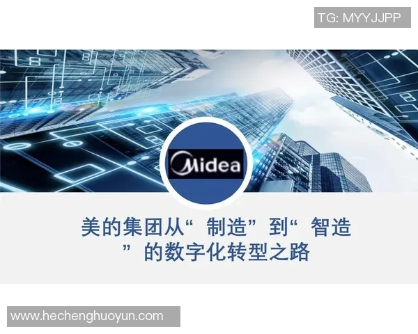 成都足球队的转型之路：从传统到现代的深度解析与展望