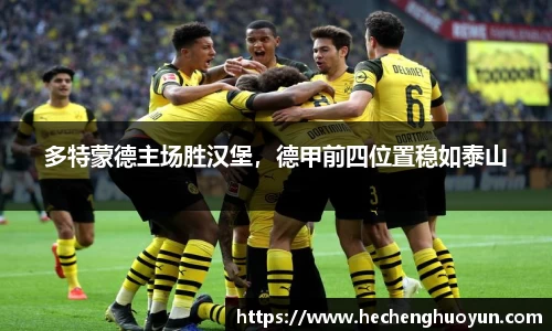 多特蒙德主场胜汉堡，德甲前四位置稳如泰山