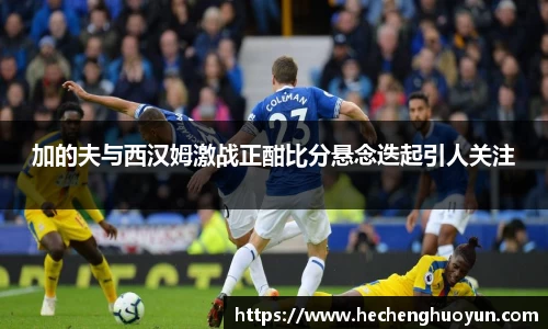 加的夫与西汉姆激战正酣比分悬念迭起引人关注