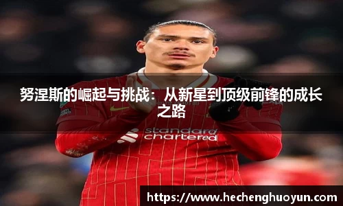 努涅斯的崛起与挑战：从新星到顶级前锋的成长之路
